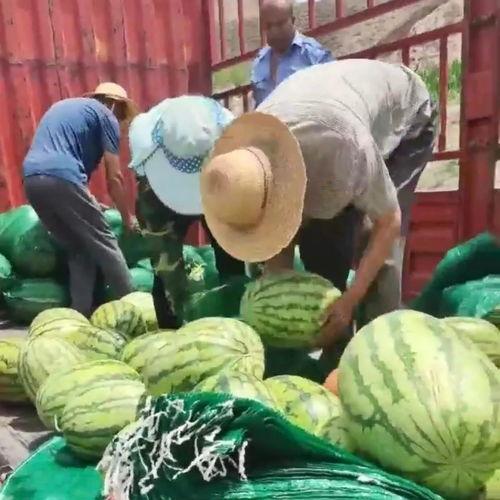 运河区吃瓜群众事件视频,网络热议的围观现象深度解析