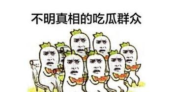 吃瓜群众表示没有必要,无需生成概述文章副标题
