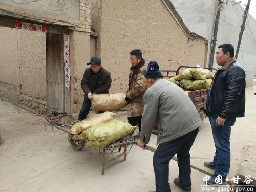 新兴县吃瓜群众事件视频,网络舆论下的社会现象解析