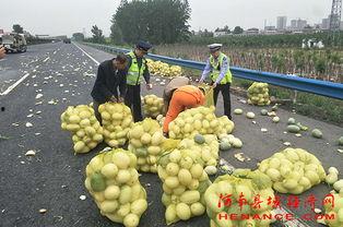 许昌疫情吃瓜群众是谁啊,他们是谁？为何引发关注？