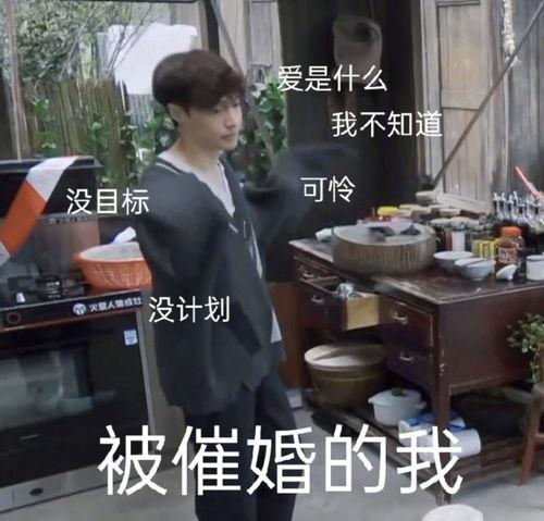 黄磊吃瓜群众是真的吗,黄磊吃瓜群众传闻真相揭秘