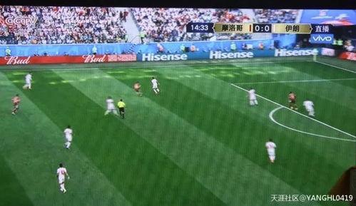 冬奥会吃瓜群众意大利,意大利“吃瓜群众”的观赛日记