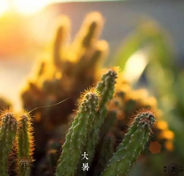 最安静的吃瓜群众是谁啊,谁是娱乐圈最安静的吃瓜群众？