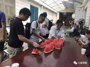 路人围观吃瓜群众图片,路人围观，吃瓜群众成焦点