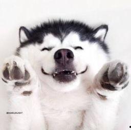 无语了吃瓜群众视频,无语了，这视频太劲爆了！