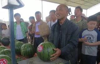 莱州沙河事件吃瓜群众,吃瓜群众视角下的真相揭秘